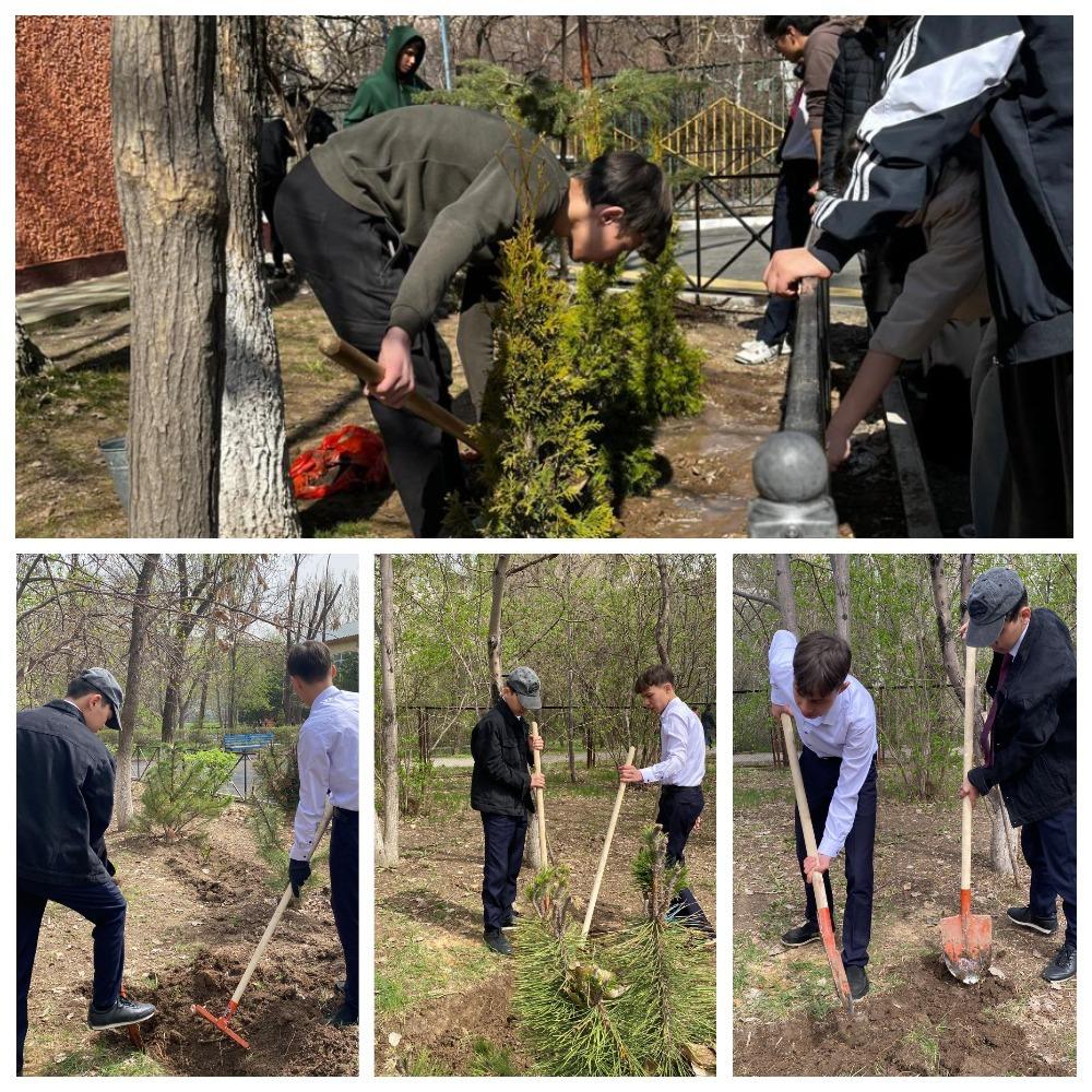 2024-2025 оқу жылы бойынша "Түлектердің ағаш егу" ЭКОЧЕЛЛЕНДЖІ